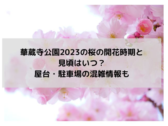 華蔵寺公園桜2023