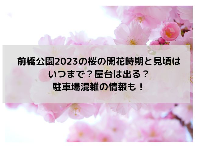 前橋公園2023桜