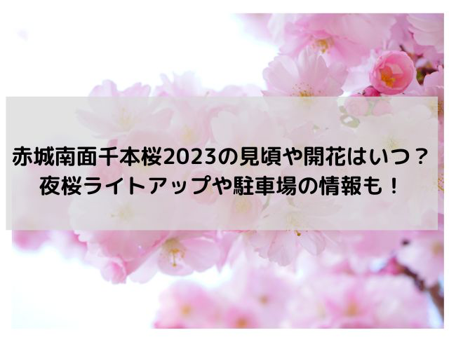赤城南面千本桜2023