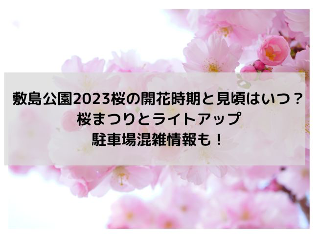 敷島公園桜2023