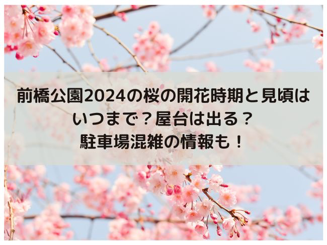 前橋公園　2024年　桜