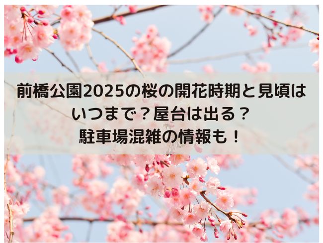 前橋公園　2025 桜見頃　開花