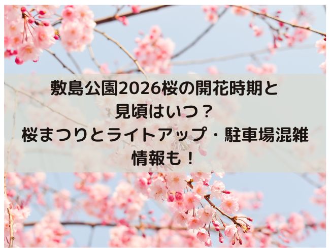 敷島公園　2026 桜