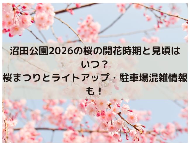 沼田公園　2026 桜