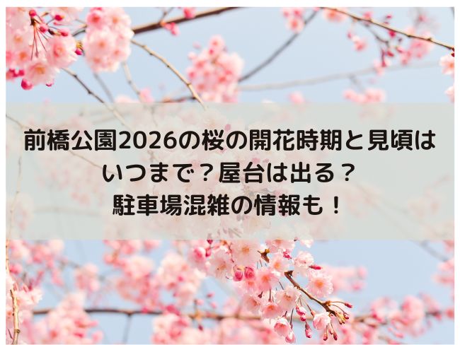 前橋公園　2026 桜