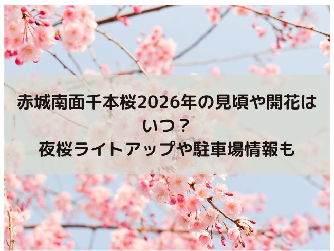 赤城南面千本桜　2026 桜