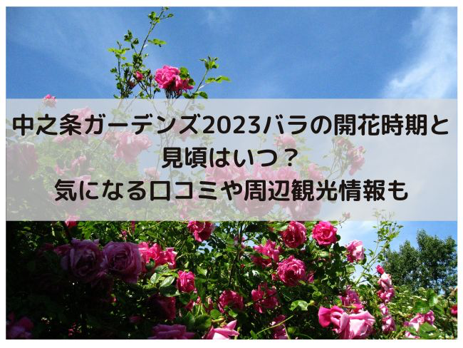 中之条ガーデンズ　2023 バラ