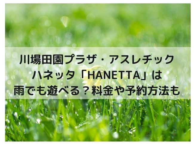 川場田園プラザ　アスレチック・ハネッタ