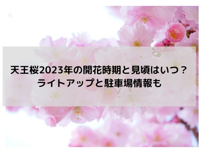 天王桜2023