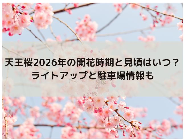 天王桜　2026