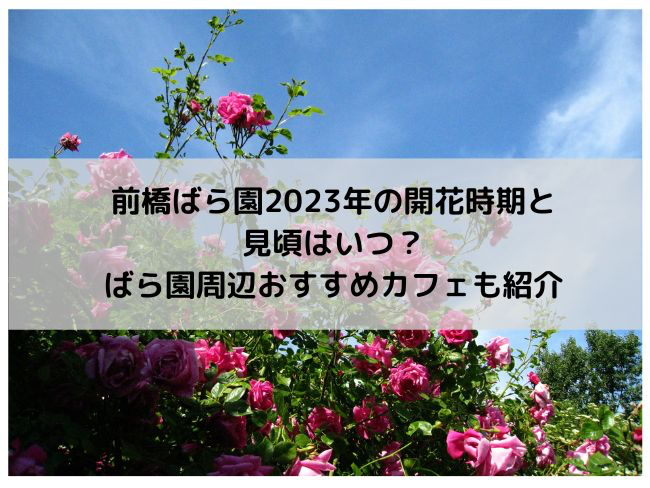 前橋バラ園　2023年　開花時期