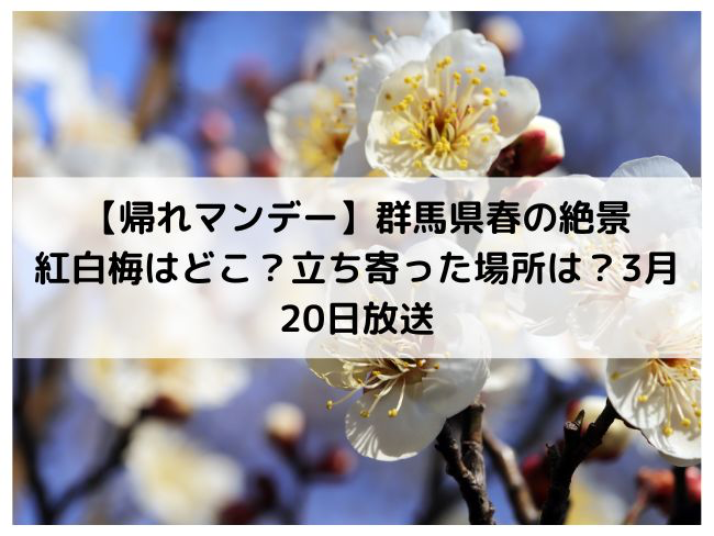 帰れマンデー春の絶景紅白梅秋間梅林